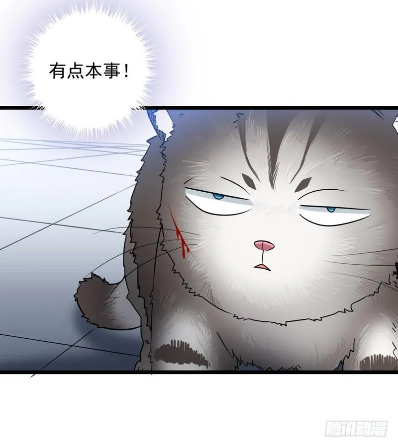 九十八 第13页