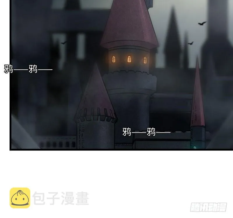 135 第37页