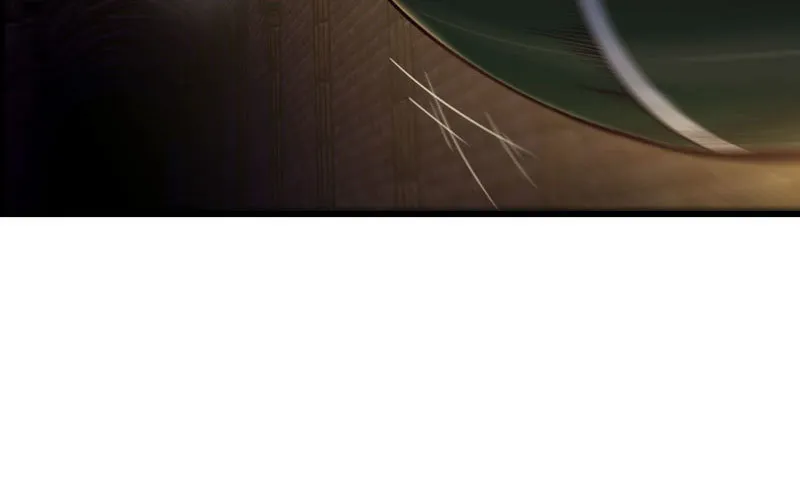 165 第41页