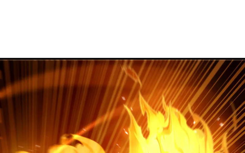 171 第44页