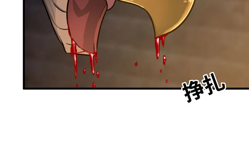 181 第95页