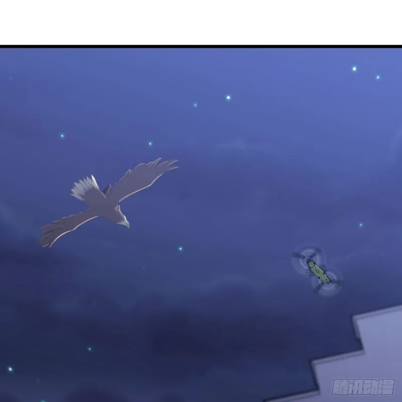 195 第40页