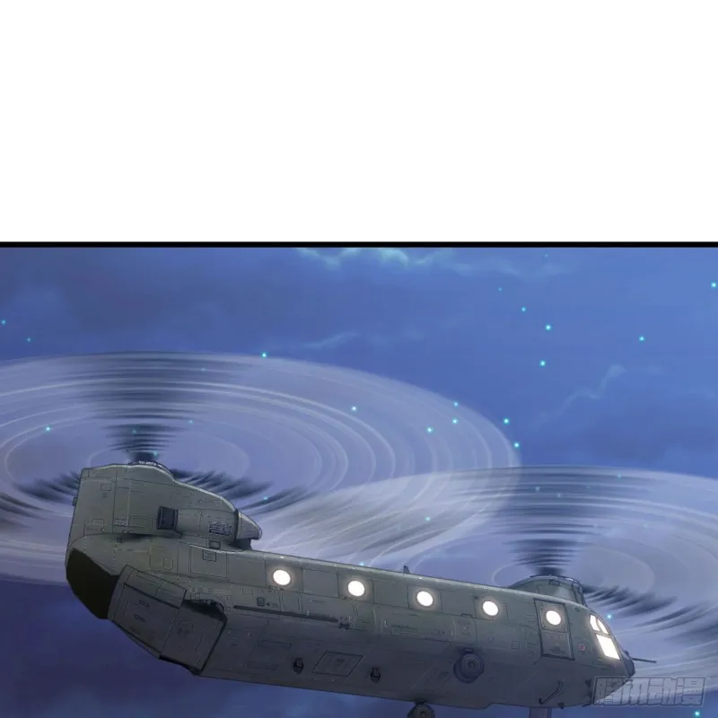 195 第43页
