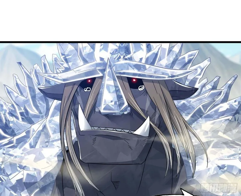204 第55页