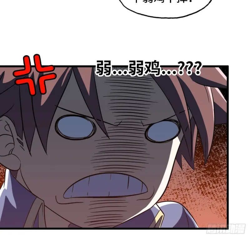 203 第43页