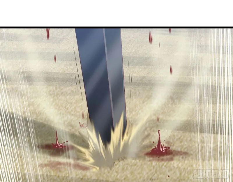 206 第48页