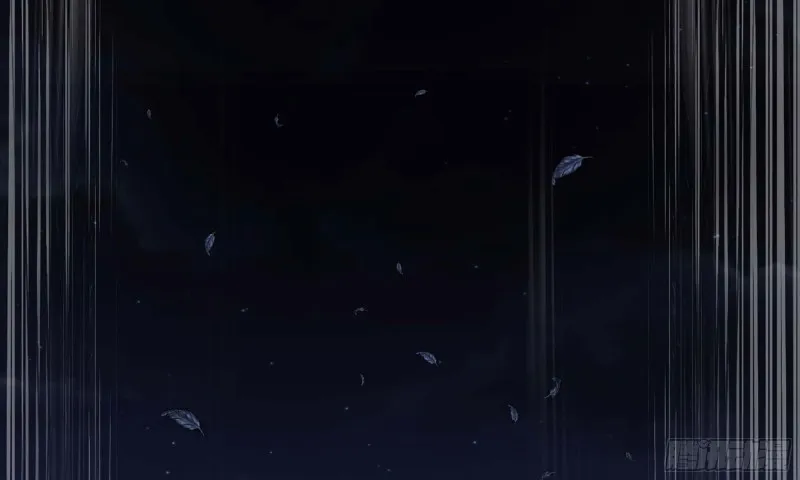 219- 什么意思？ 第12页