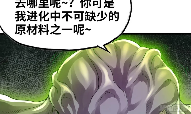 265- 利用价值 第40页