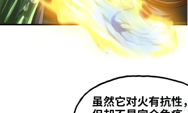 269- 铂金之炎 第78页