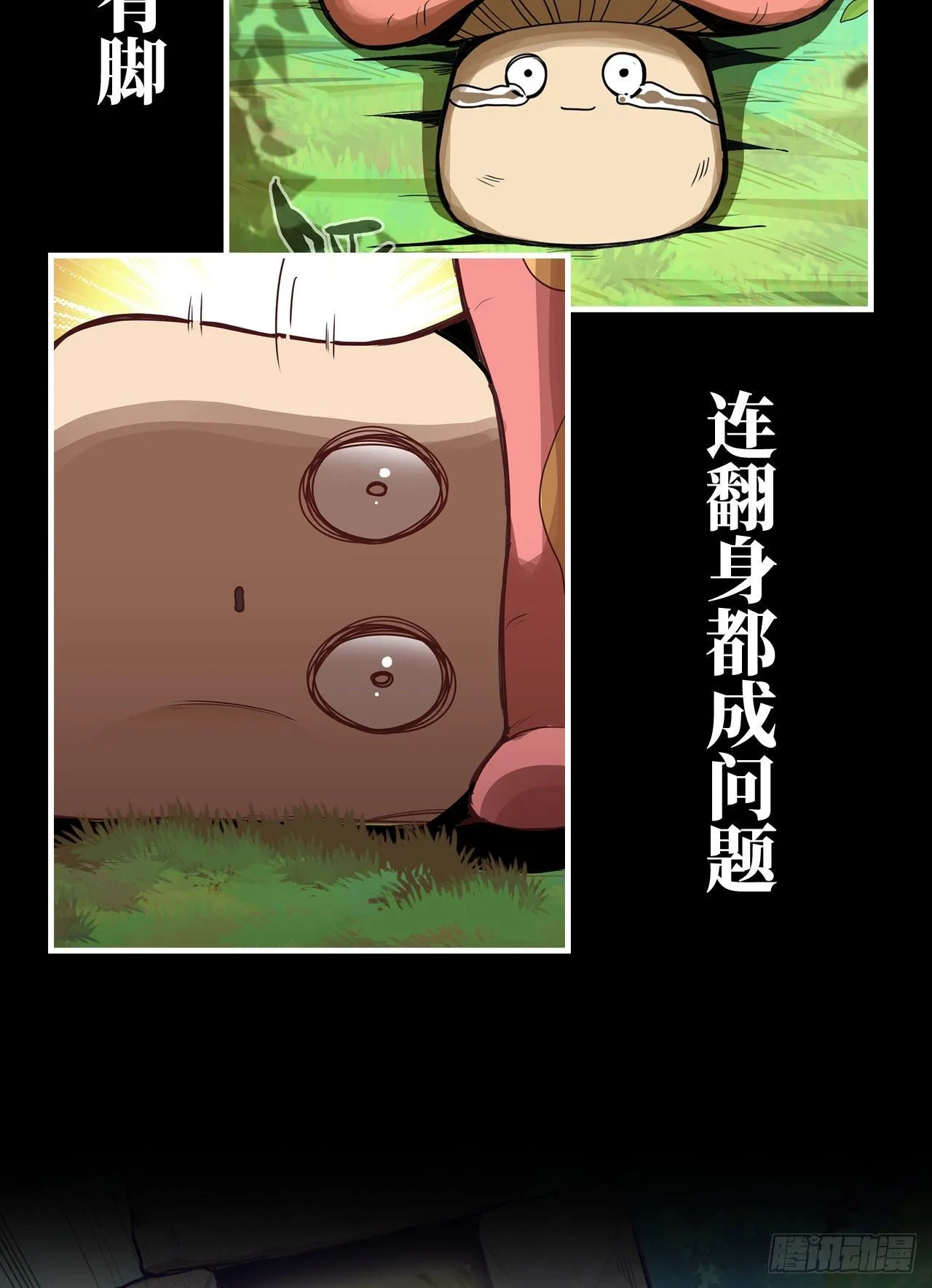 新作推荐 第10页