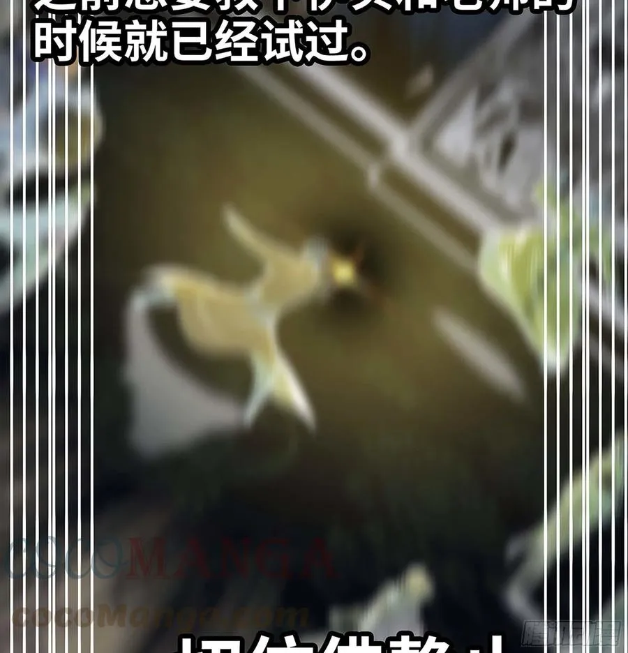 297- 试验阶段图鉴[3] 第13页