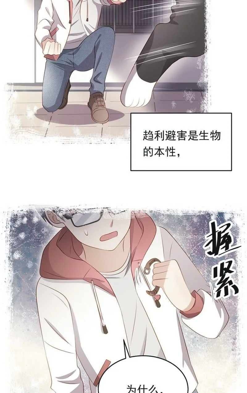 第八十四话 第4页