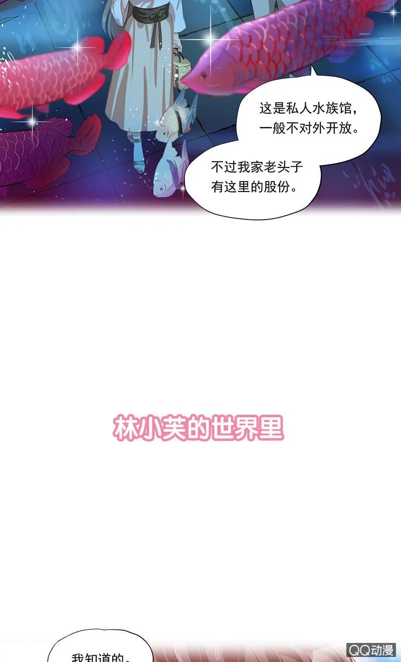 预告 第15页