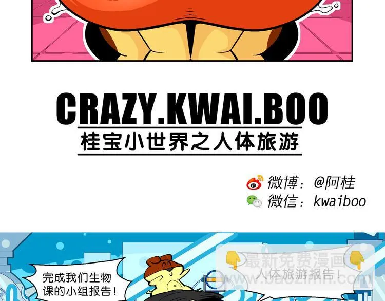 第14话 桂宝小世界之人体旅游 第2页