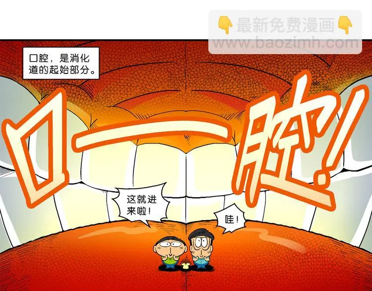 第14话 桂宝小世界之人体旅游 第10页