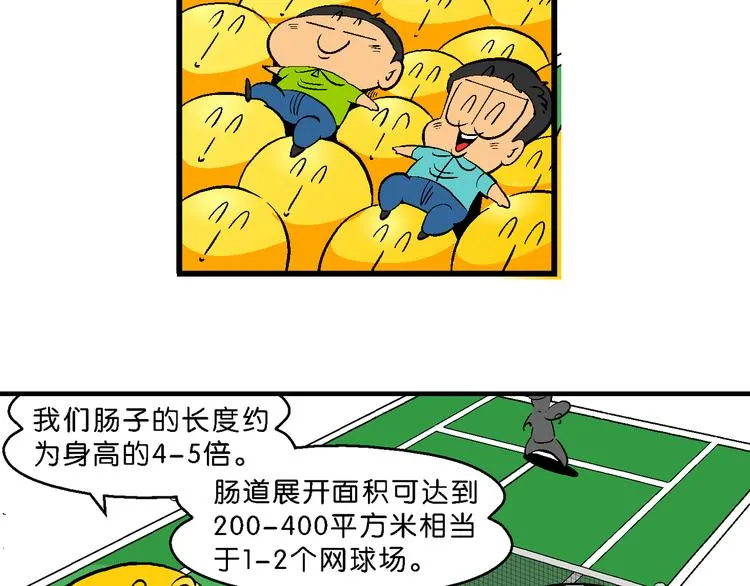 第14话 桂宝小世界之人体旅游 第35页