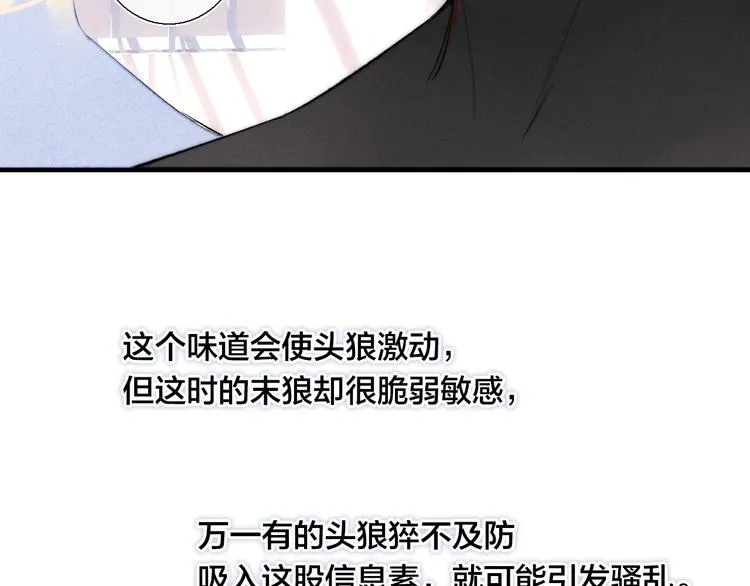 第15话 因为喜欢你这个人 第11页