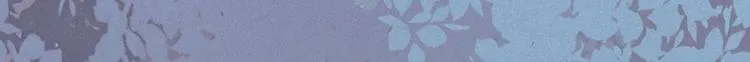 人物小档案 第10页