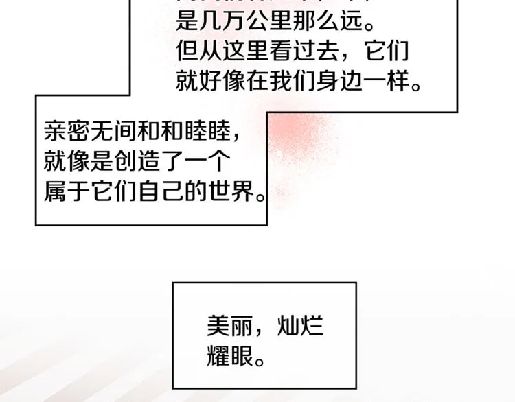第14话 我可以爱你吗 第43页