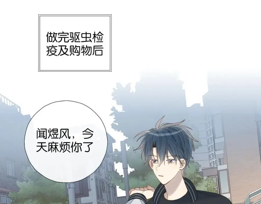 第72话 不必遗憾 第20页