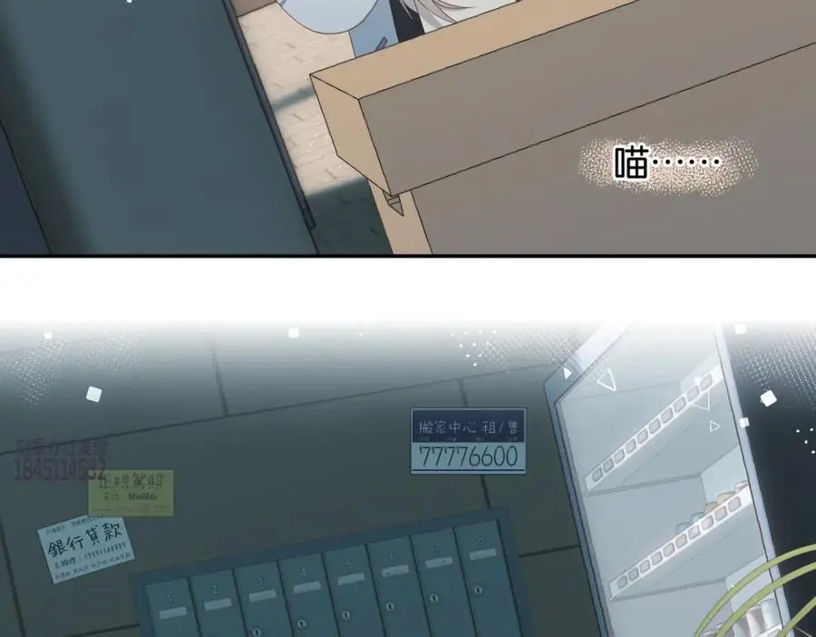 第71话 小奶猫 第63页