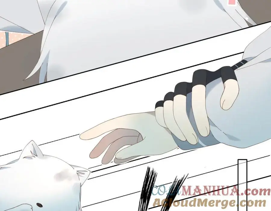 第71话 小奶猫 第67页
