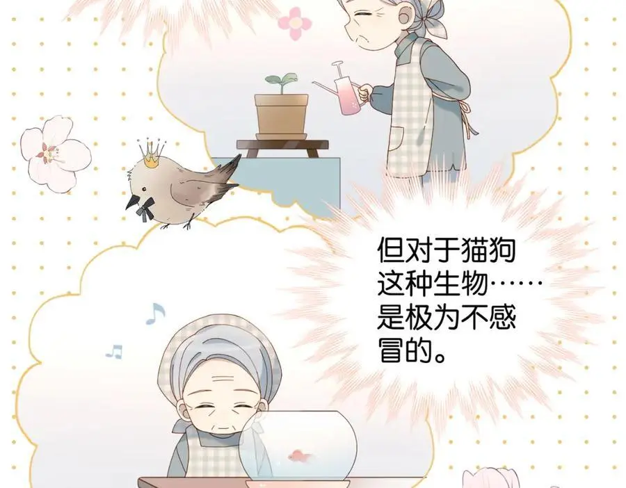 第71话 小奶猫 第78页