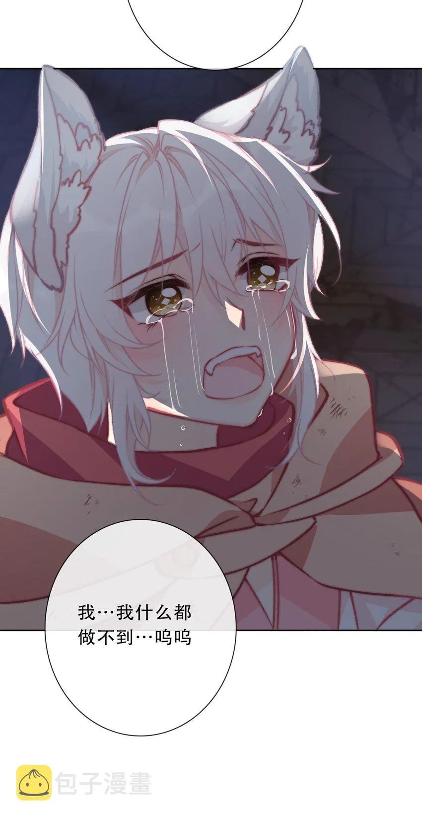 100 源启的过去3 第13页
