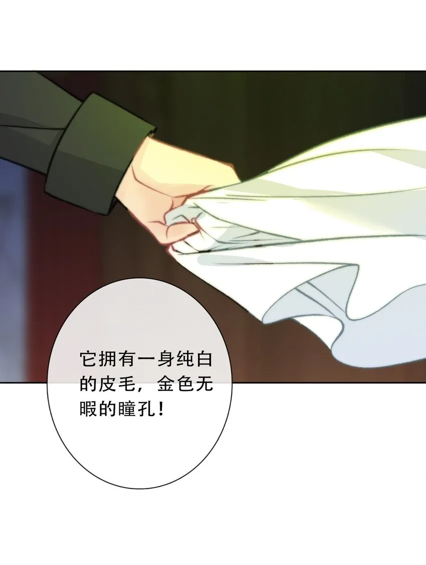 100 源启的过去3 第39页
