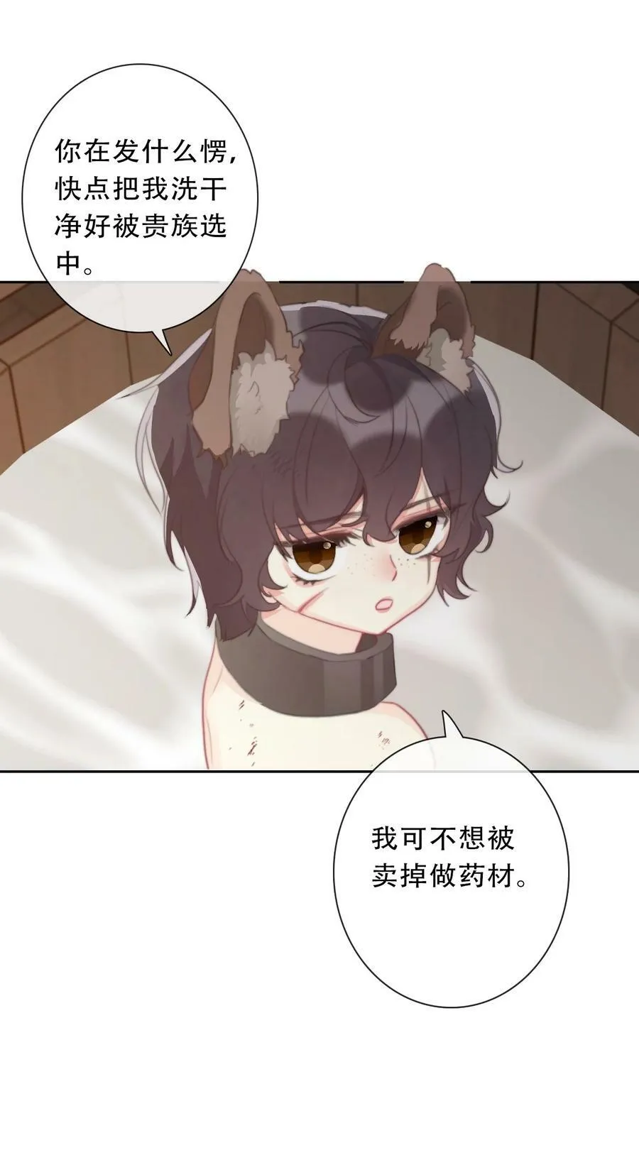116 宴会仪式 第20页