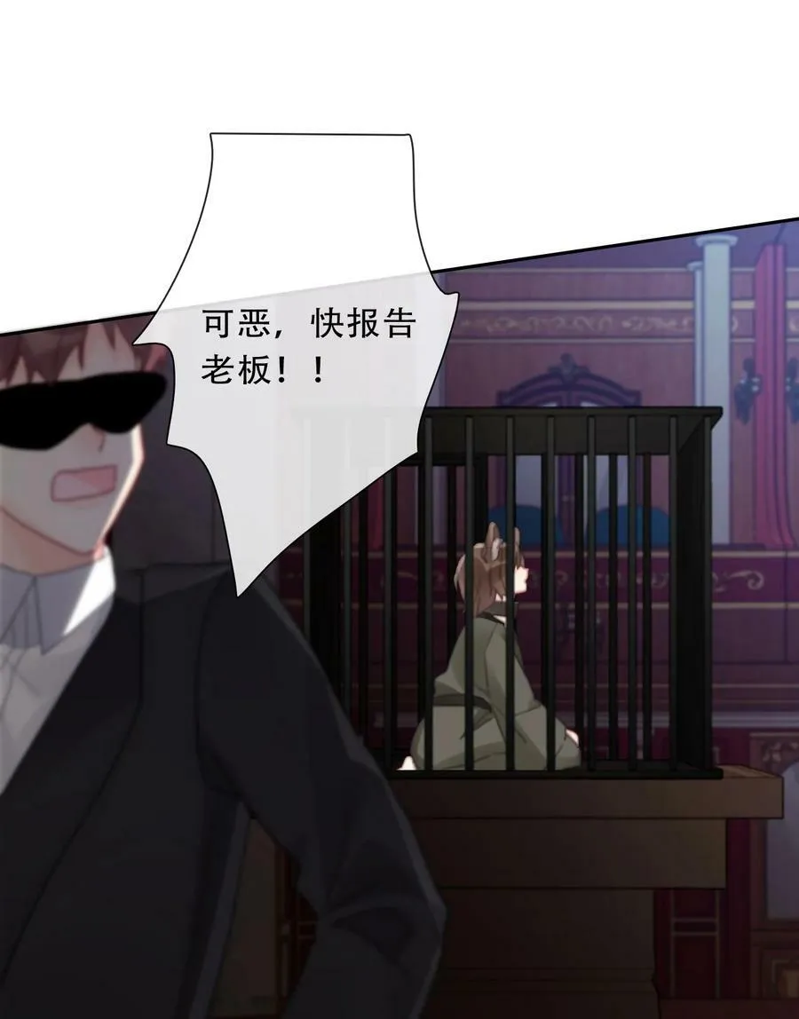 117 突袭拍卖会 第41页
