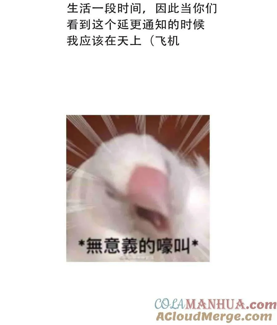 117.1 请假条 第2页