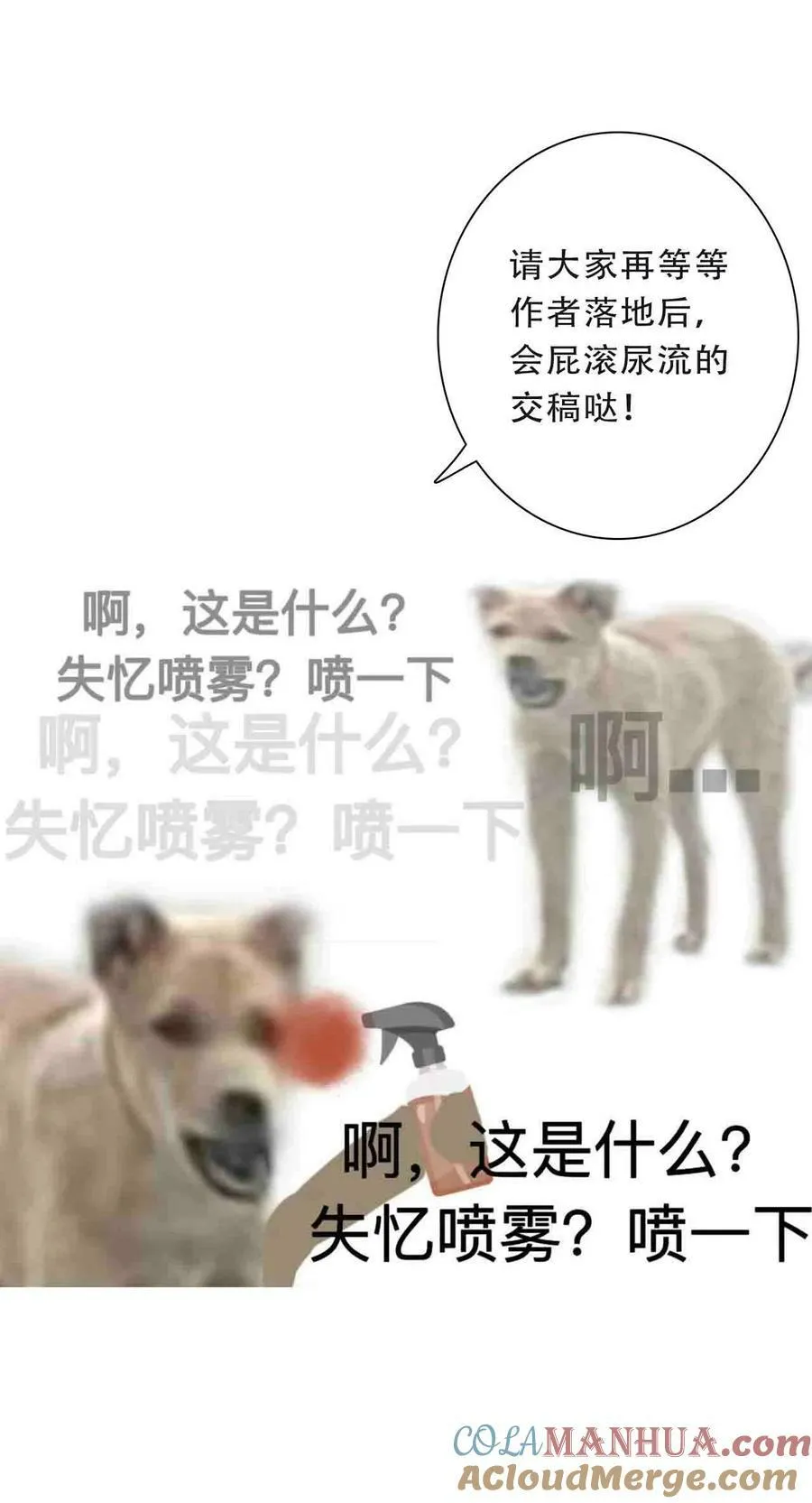 117.1 请假条 第3页