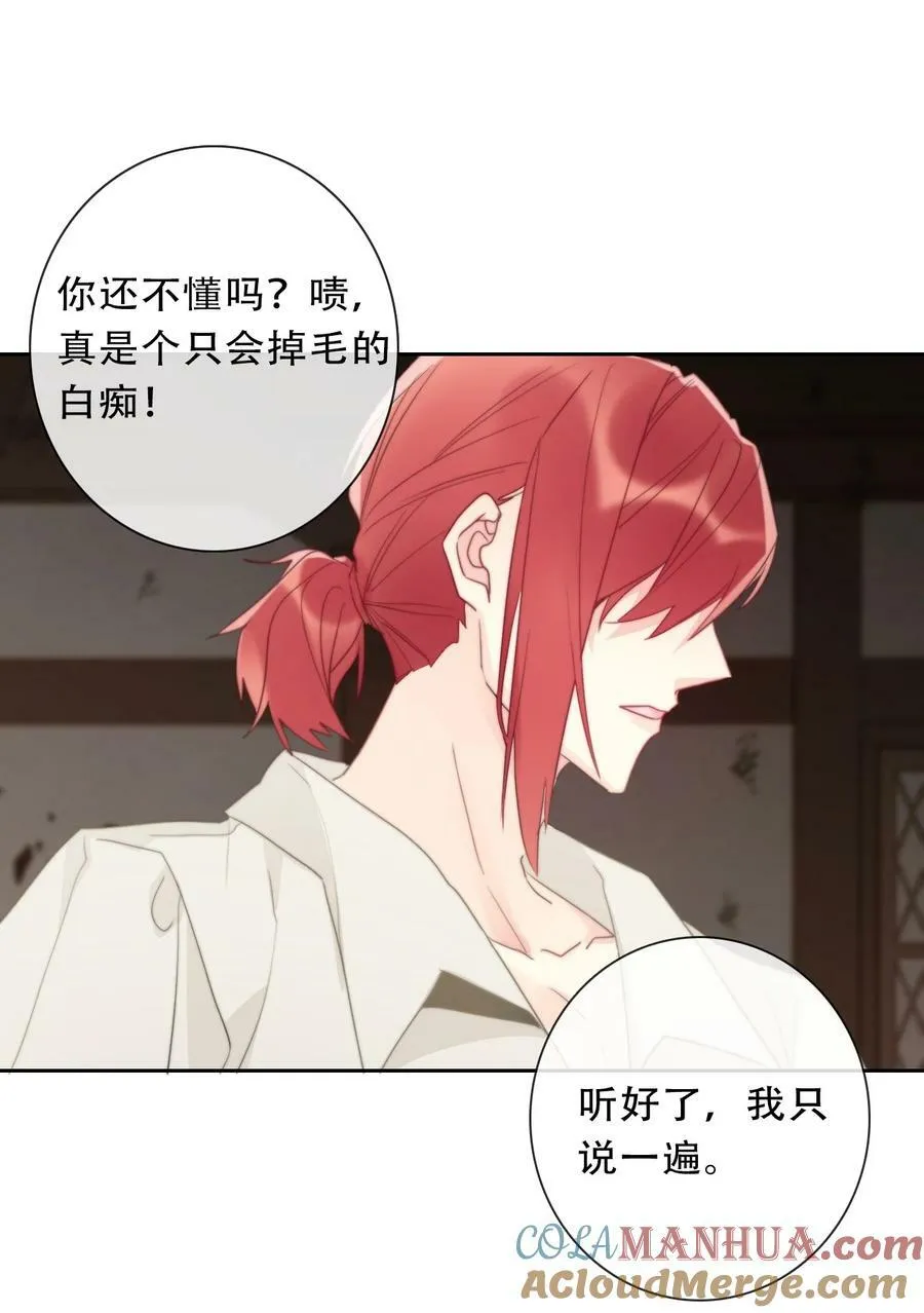 120 同伴 第61页