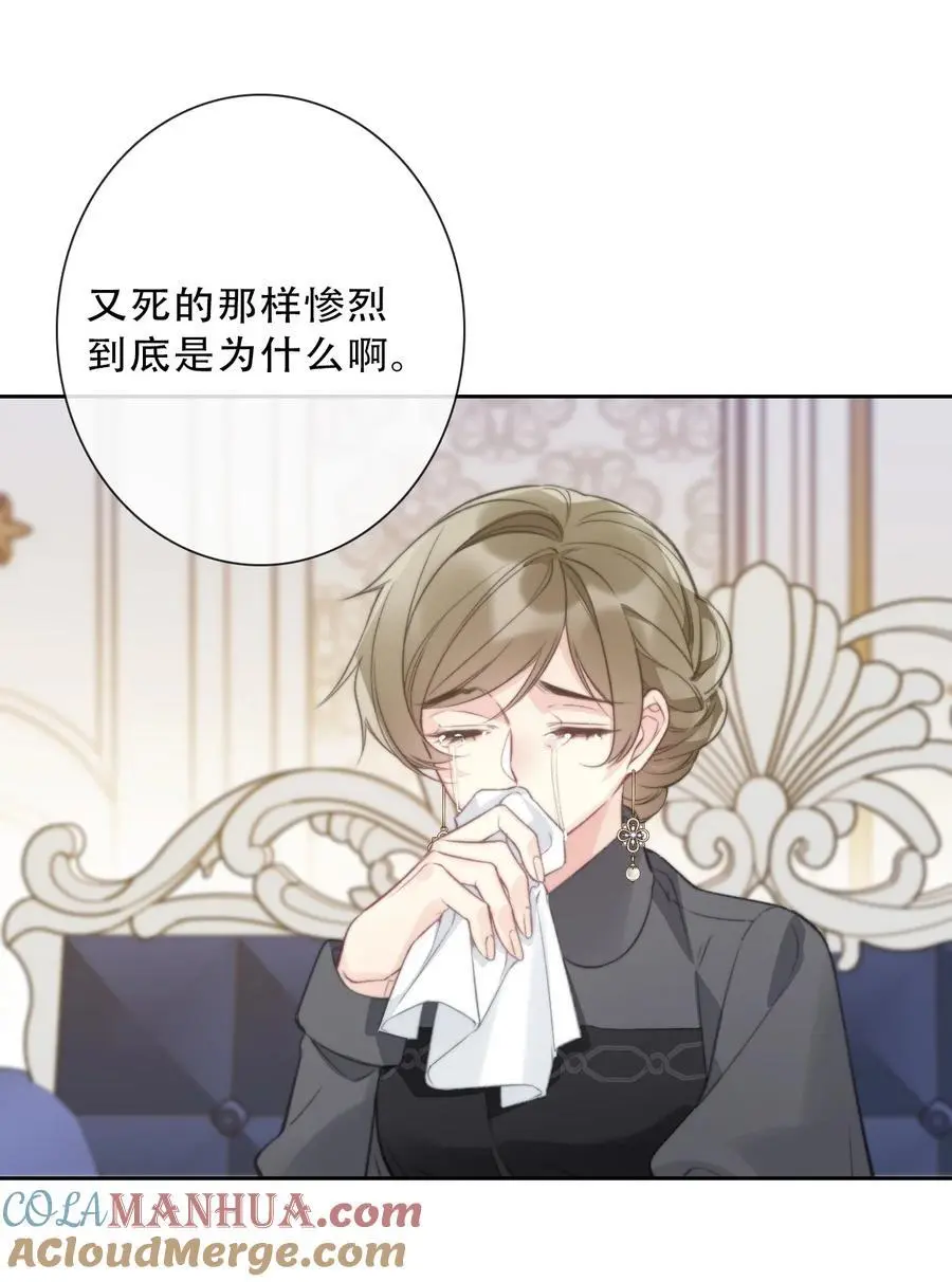 138 调查案件 第13页