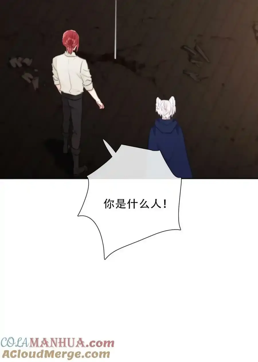 119 突袭拍卖会（3） 第28页