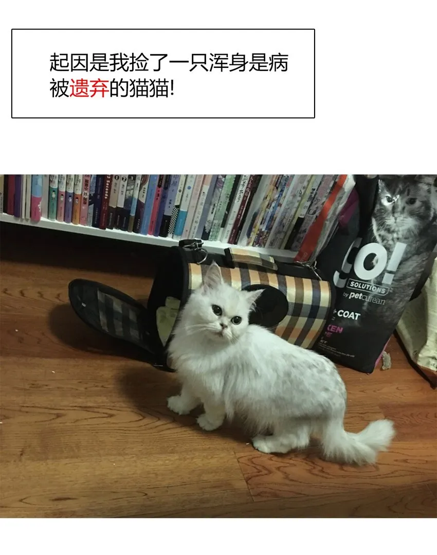 014 请好好的被我利用吧 第49页
