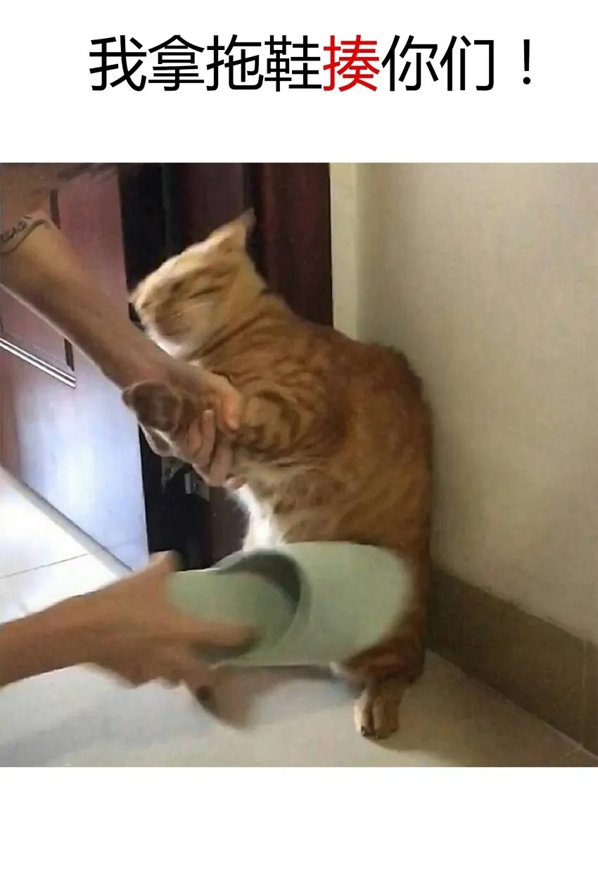017 她怎么生气了 第46页