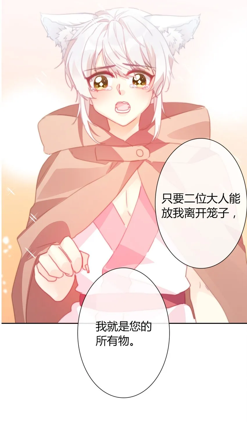 019 都是假的 第5页