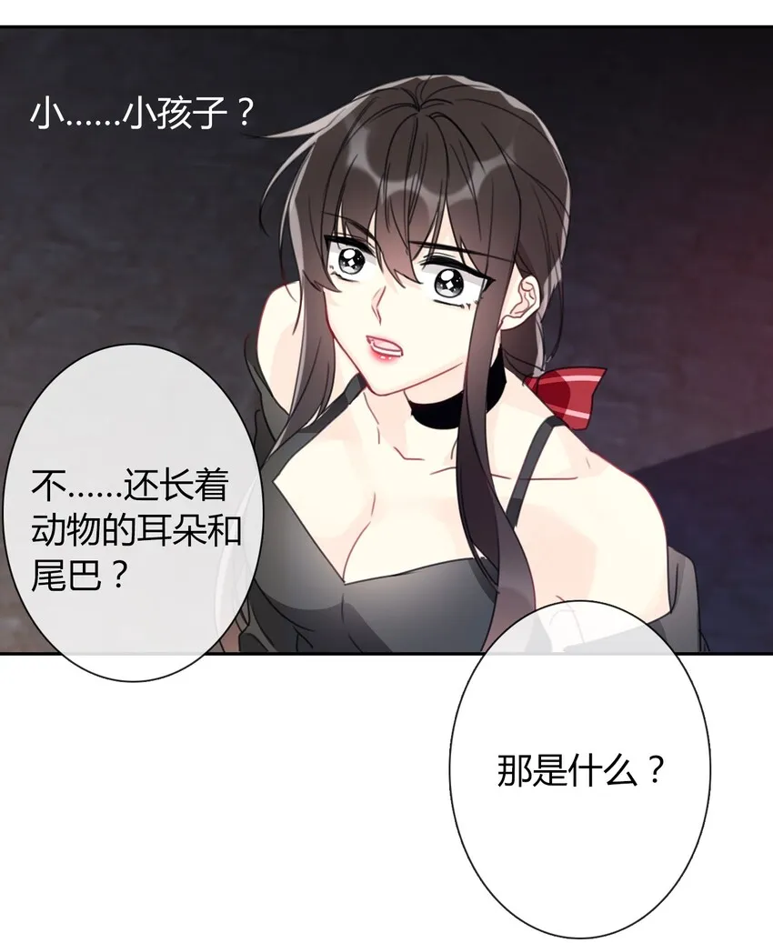 019 都是假的 第6页