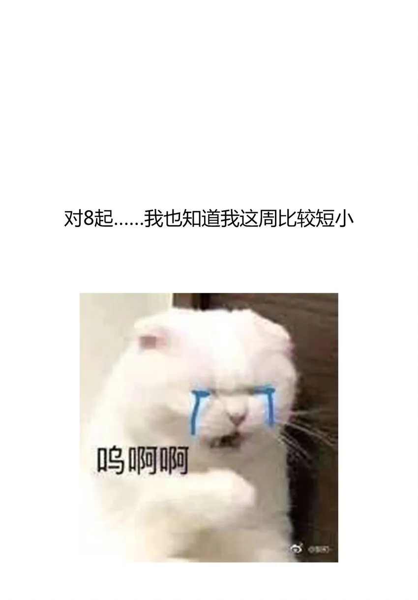 019 都是假的 第36页