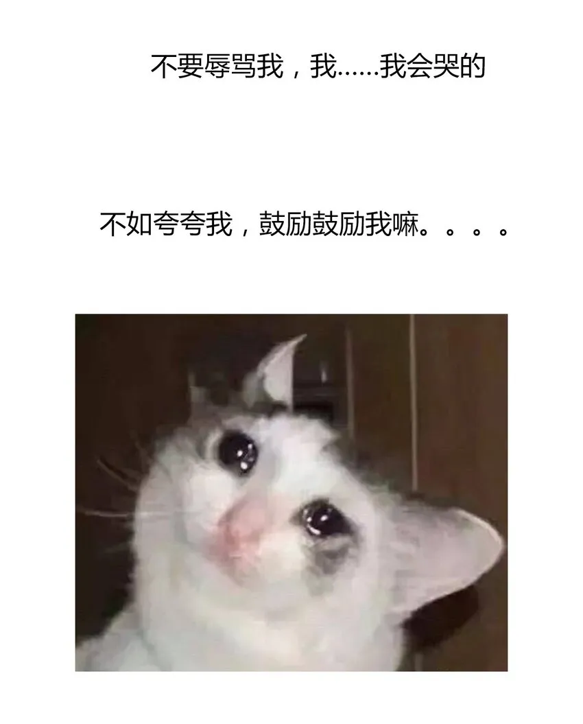 019 都是假的 第37页