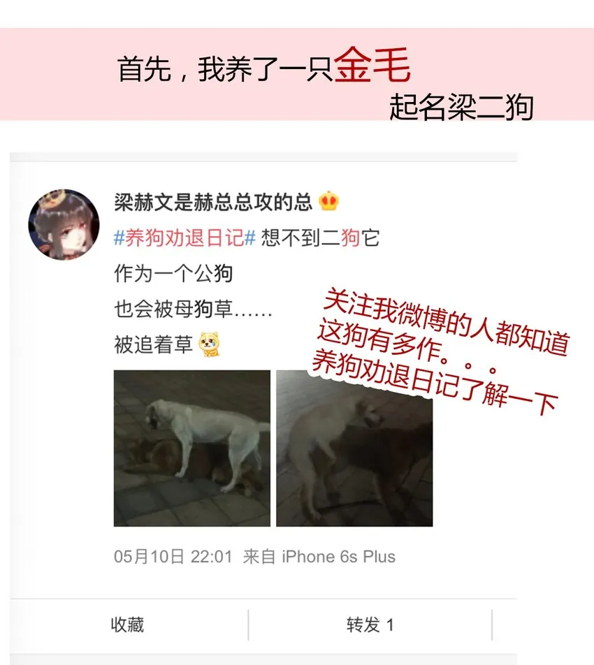 请请请请 假假假假条条条条…… 第3页