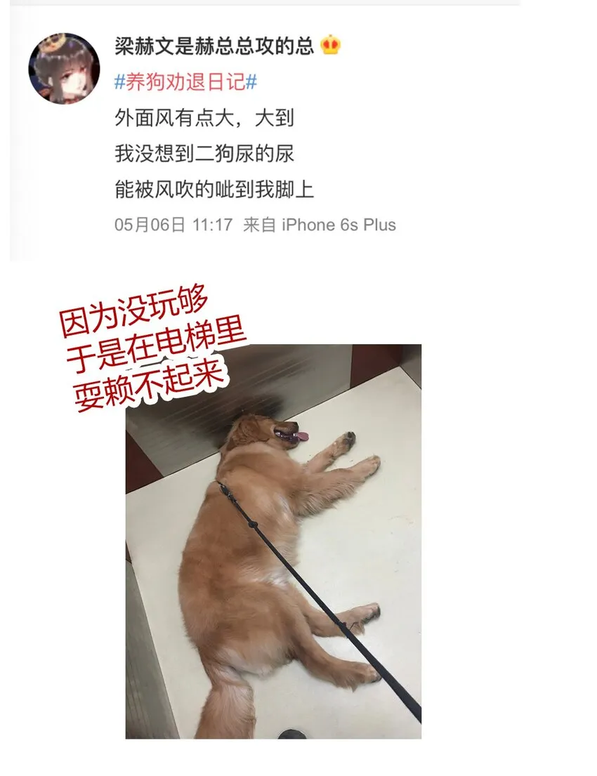 请请请请 假假假假条条条条…… 第4页