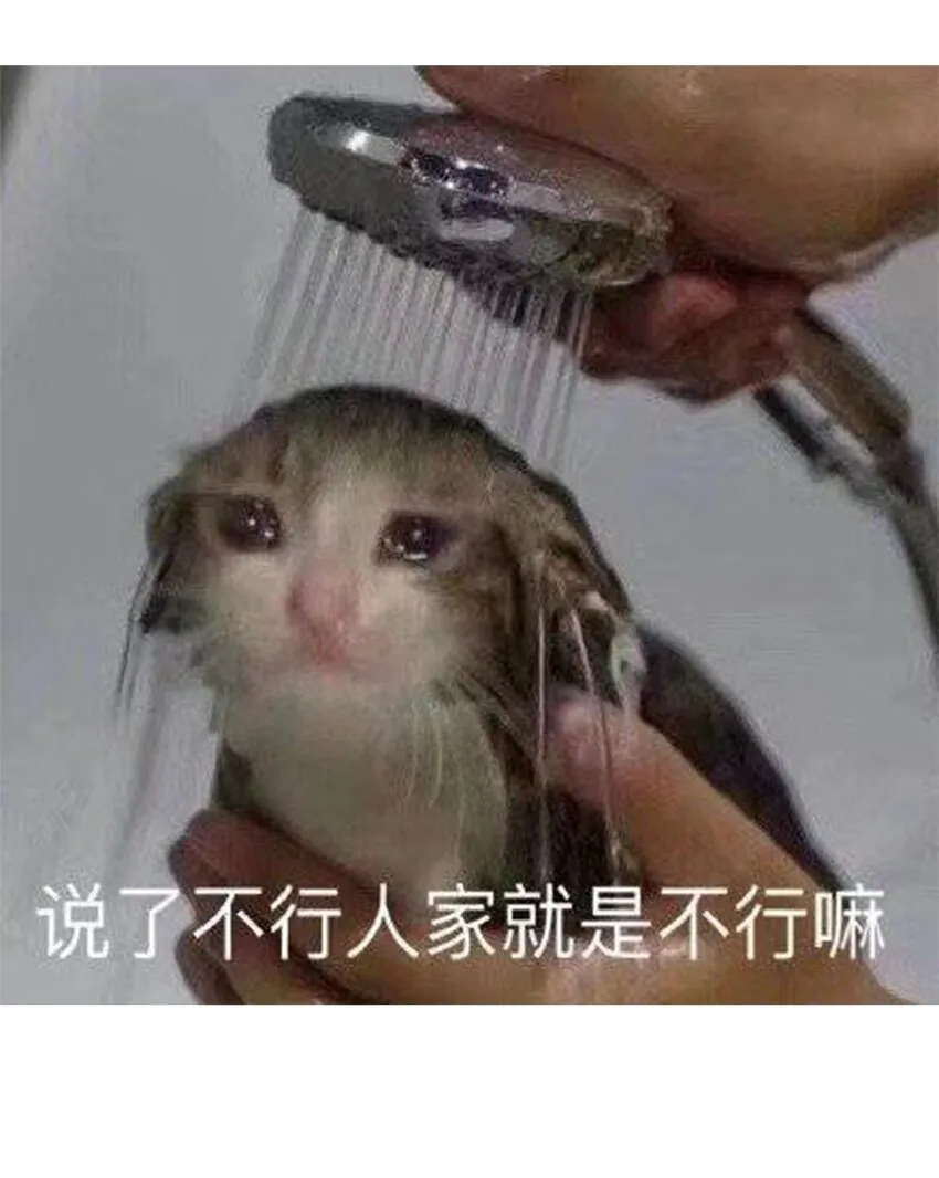 55.1 碎碎念 第4页