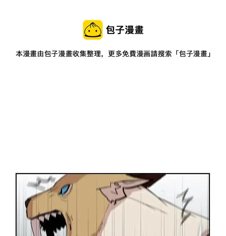 13 第4页