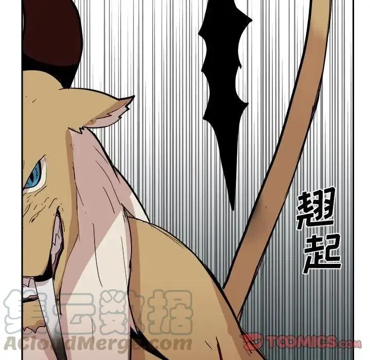 13 第9页