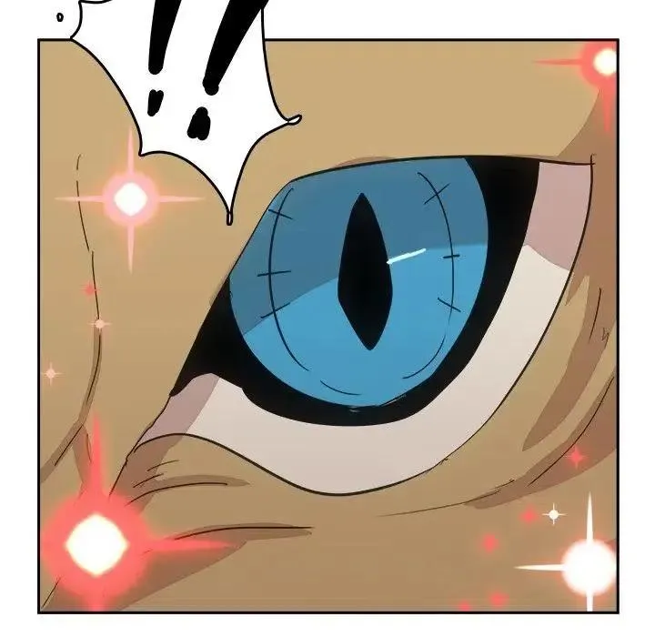 13 第100页