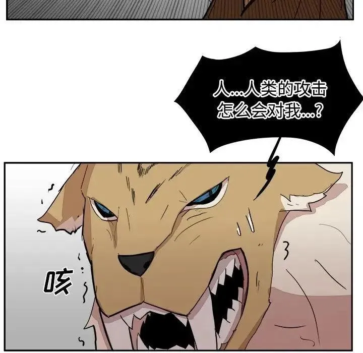 13 第115页