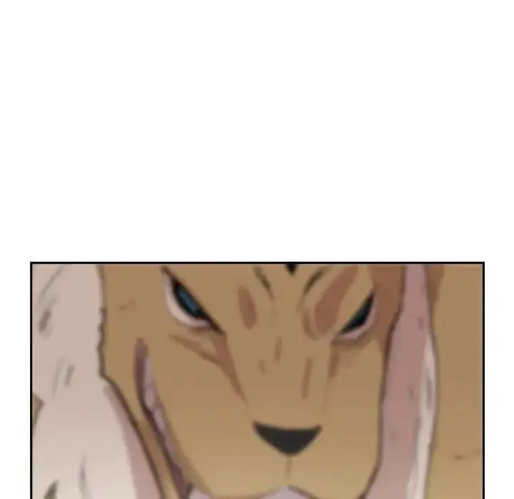 13 第116页